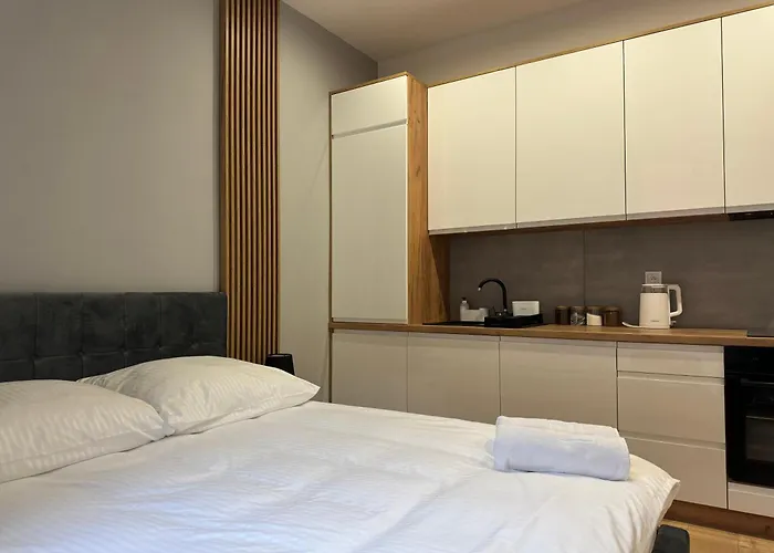 Mario #1 דירה קטוביץ