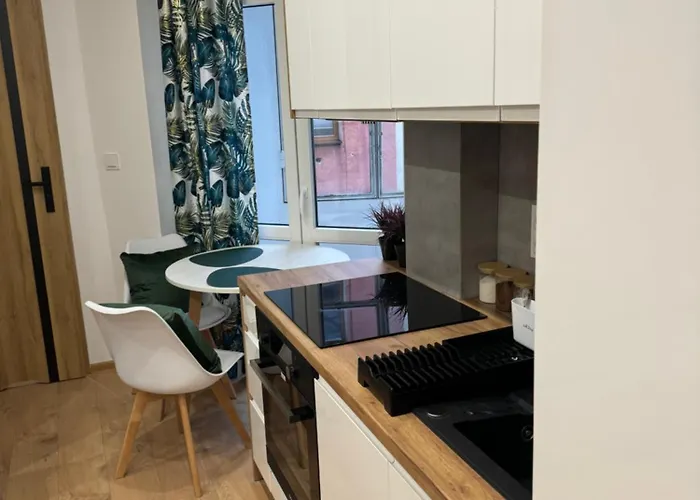 Mario #1 דירה קטוביץ